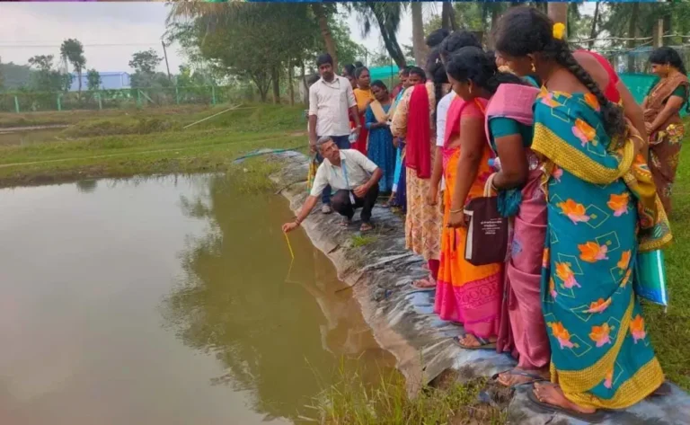 Training on GIFT Tilapia and Carp Culture1 09.12.2025 768x473